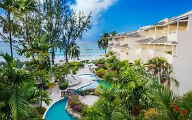 Bougainvillea Barbados